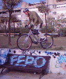 biketrials riding video